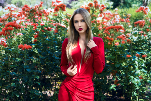 1707886 (a): :2560x1708